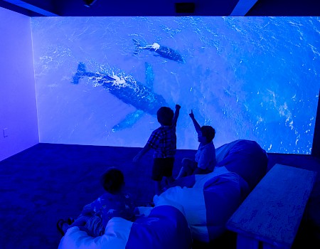 Children in a dark room are watching a large screen showing underwater footage of sharks and other sea creatures, excitedly interacting with it.