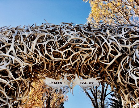 An archway made of antlers with a sign reading 